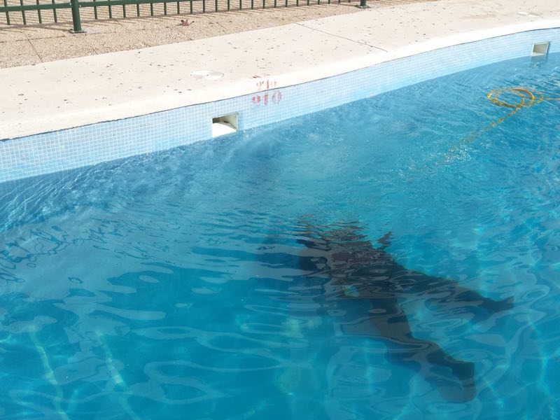 Localización de fugas de agua en piscinas Huelva